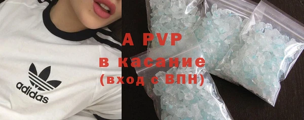 амф Бородино