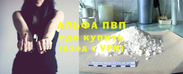 амф Бородино