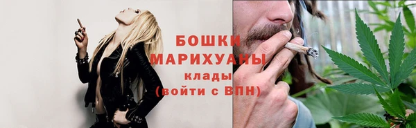 амф Бородино