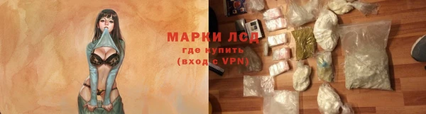амф Бородино