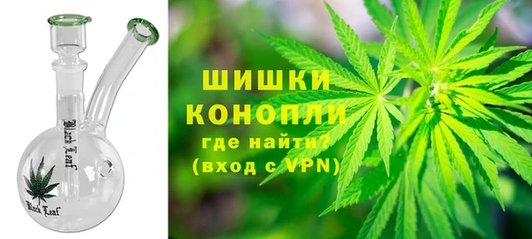 амф Бородино